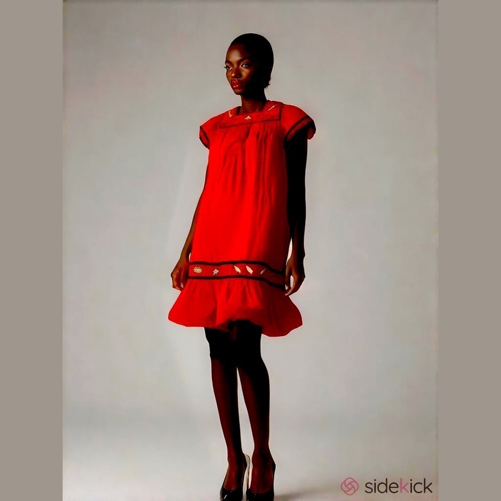 Cabernet Ladybug Mini House Dress